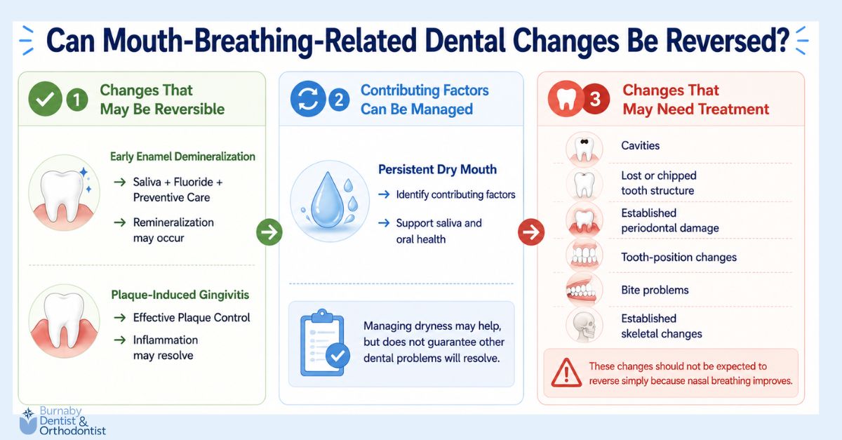 Infographic explaining which mouth-breathing-related dental changes may be reversible, which contributing factors can be managed, and which changes may require dental treatment.