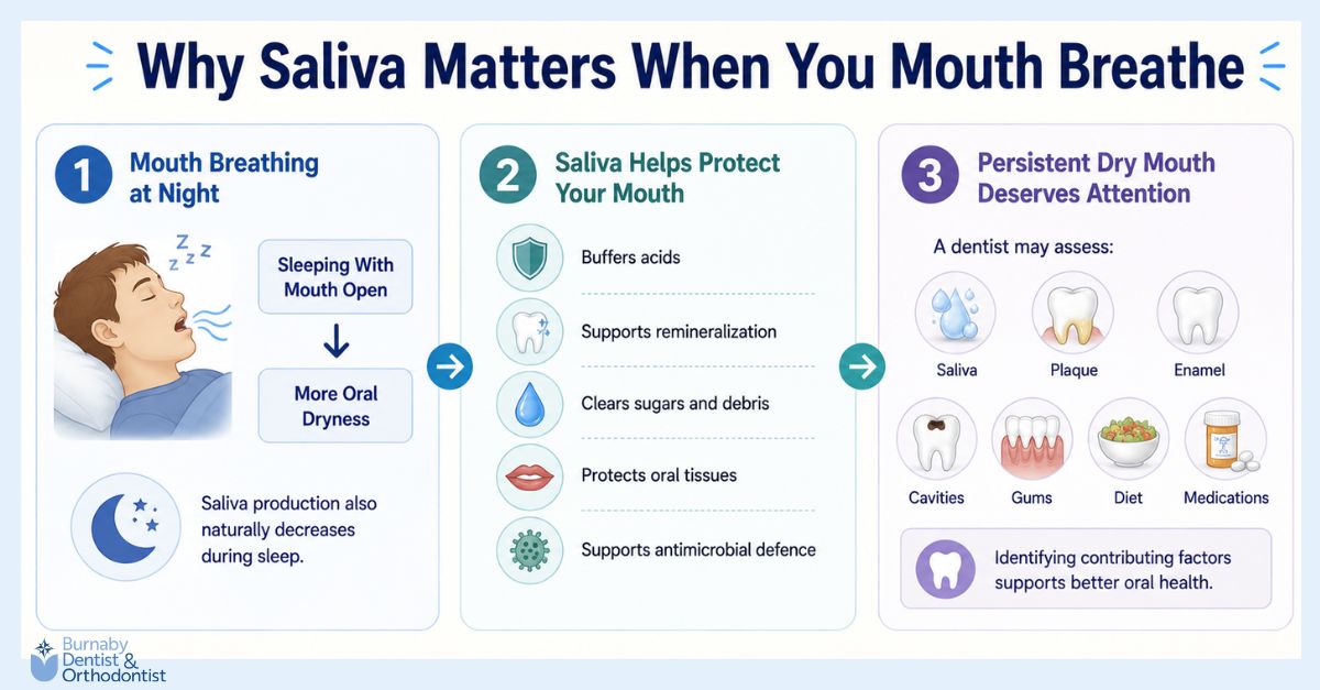 Infographic explaining how nighttime mouth breathing may increase oral dryness, the protective roles of saliva in oral health, and factors dentists may assess when dry mouth persists.
