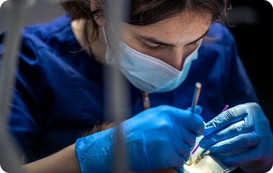 How Root Canals Save Your Natural Teeth