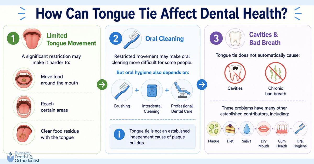 Infographic explaining how restricted tongue movement may affect food movement and oral clearing, while noting that tongue tie does not automatically cause plaque buildup, cavities, or chronic bad breath.