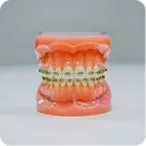 Restorative Dentistry Solutions