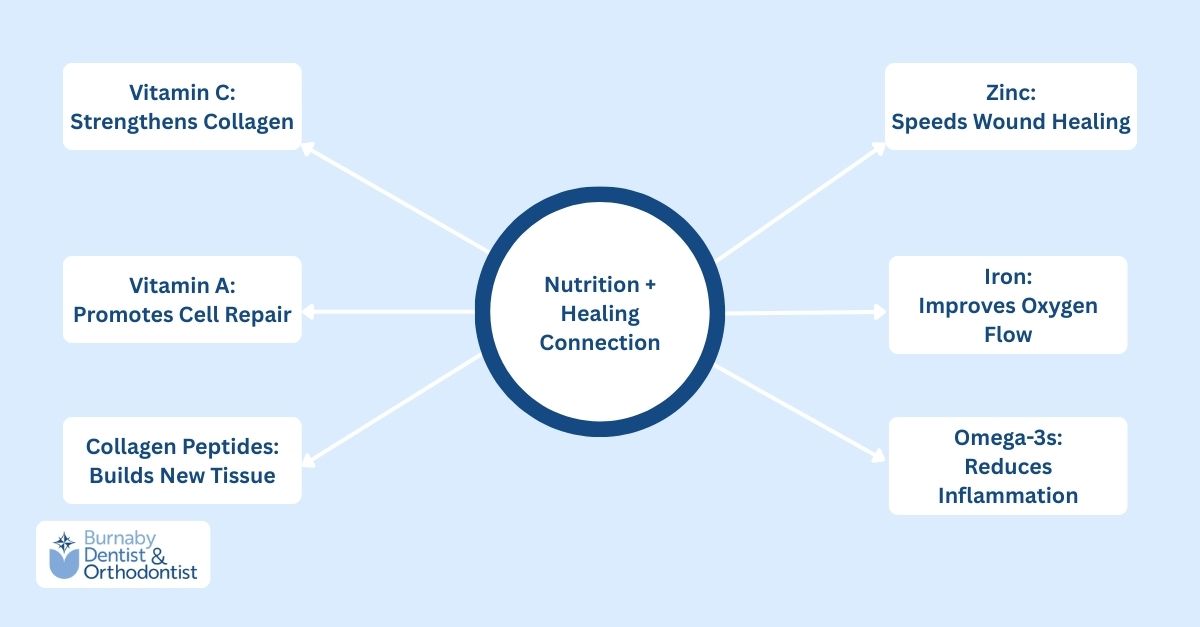  Infographic showing key vitamins and supplements that support gum graft healing