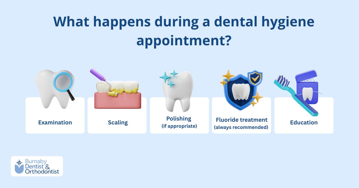 What happens during a dental hygiene appointment?