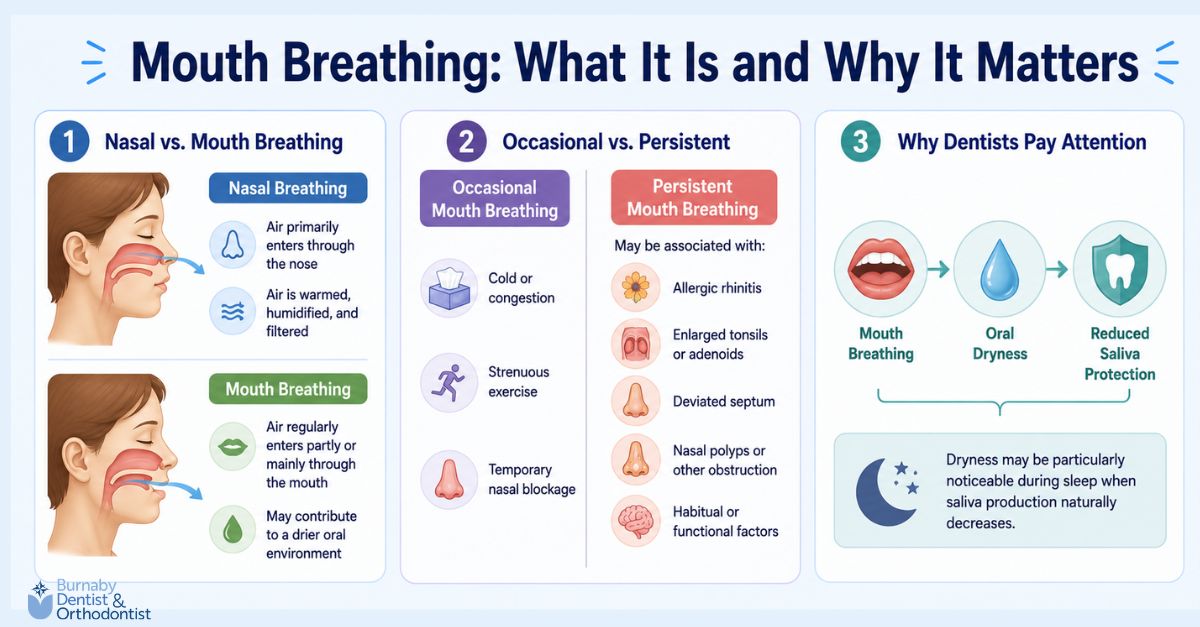  Infographic comparing nasal and mouth breathing, showing temporary and persistent causes of mouth breathing and how it may contribute to oral dryness and reduced saliva protection, especially during sleep.
Zeinab Sahraee
Zeinab Sahraee
12:31 PM Aug 26
Infographic CueHEADER
Why Does Mouth Breathing Happen?LAYOUT
Create a simple 3-part infographic showing common contributors to mouth breathing and why the underlying cause matters.👃 1. Nasal Airflow Becomes RestrictedPossible contributors:Allergic rhinitis
Enlarged tonsils or adenoids
Deviated nasal septum
Enlarged turbinates
Nasal polyps
Persistent nasal or sinus conditions↓🔄 2. Mouth Breathing May DevelopWhen nasal breathing is difficult:Reduced Nasal Airflow → More Mouth BreathingIn some people, the pattern may continue even after an earlier obstruction improves.↓🔍 3. Identifying the Cause MattersPersistent mouth breathing does not automatically mean:❌ It is simply a habit
❌ There is definitely an airway obstructionA dentist may identify associated oral findings, while medical or specialist assessment may be needed to investigate the underlying cause.Alt text: Infographic explaining why mouth breathing may happen, including restricted nasal airflow from allergies or obstruction, the development of persistent mouth breathing, and why dental or medical assessment may be needed to identify the underlying cause.
Ali Behboudian
Ali Behboudian
4:44 PM Sep 9
Disclaimer required by the brief.2This article is for educational purposes only and is not a substitute for an in-person dental examination, medical assessment, or individualized professional advice.
Comment end
new line
Unselected
Copied selection to clipboard
Copied selection to clipboard
Copied selection to clipboard
Copied selection to clipboard
Copied selection to clipboard
2 by 2 table entered
Row 1
Comment start
Row 1, Column 2
Heading 1
What Is Mouth Breathing and How It Affects Your Teeth
Comment end
Image
Selected
Banner hidden 