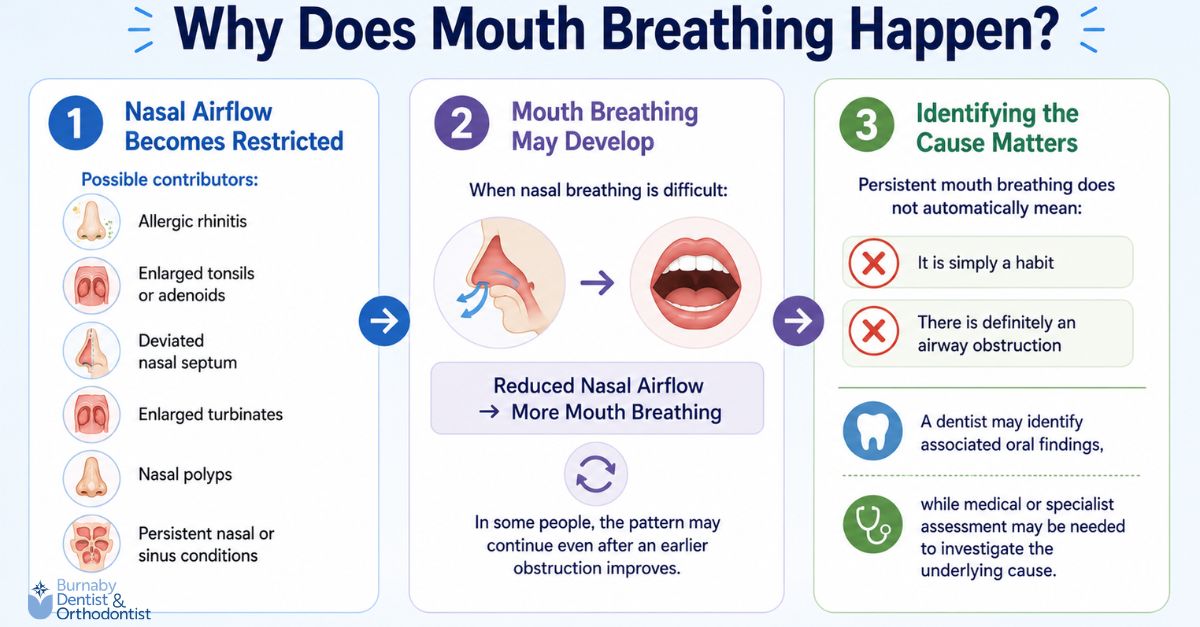 Infographic explaining why mouth breathing may happen, including restricted nasal airflow from allergies or obstruction, the development of persistent mouth breathing, and why dental or medical assessment may be needed to identify the underlying cause.
